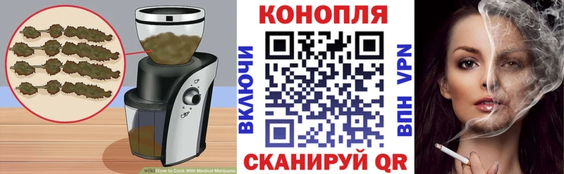 Canna-Cookies марихуана Купить закладки Сургут