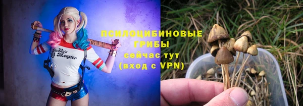 кокс Алексеевка