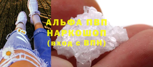мет Алексин