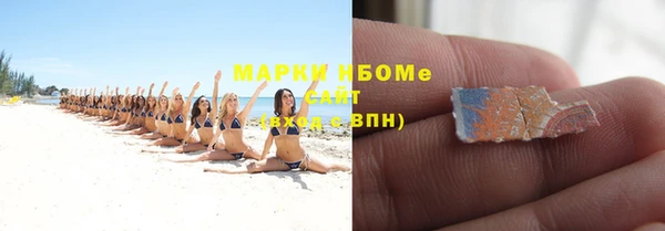 мет Алексин