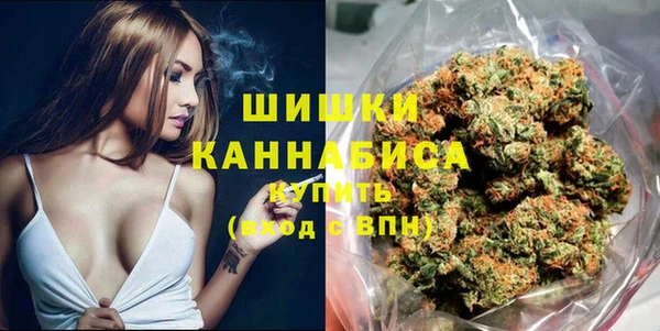 прущие грибы Алзамай