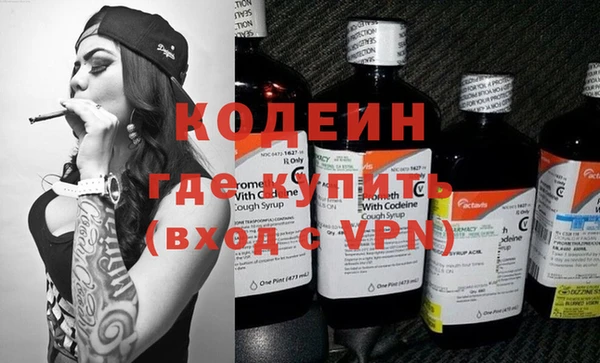 прущие грибы Алзамай