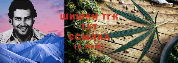 прущие грибы Алзамай