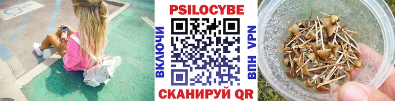Псилоцибиновые грибы MAGIC MUSHROOMS  Купить где  Сургут 