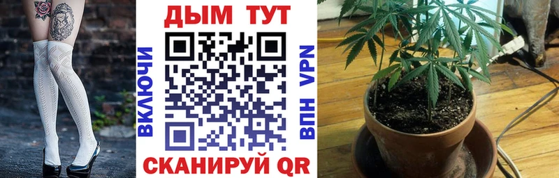 Купить Сургут Канабис гибрид